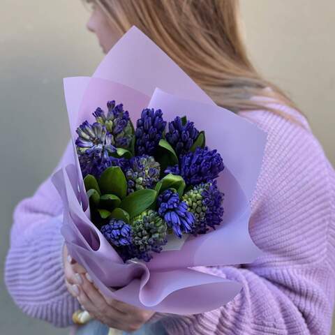 9 blue hyacinths, Flowers: Hyacinthus