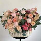 Photo of Luxury basket of flowers «Powder hugs»