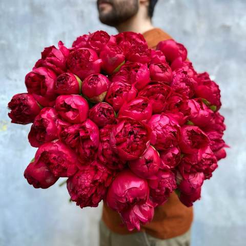 51 burgundy peonies, This is not just a bouquet of peonies, this is an incredible peony explosion