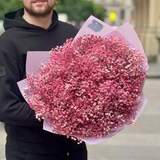 Photo of 19 branches of gypsophila in a bouquet «Pink Snowflakes»