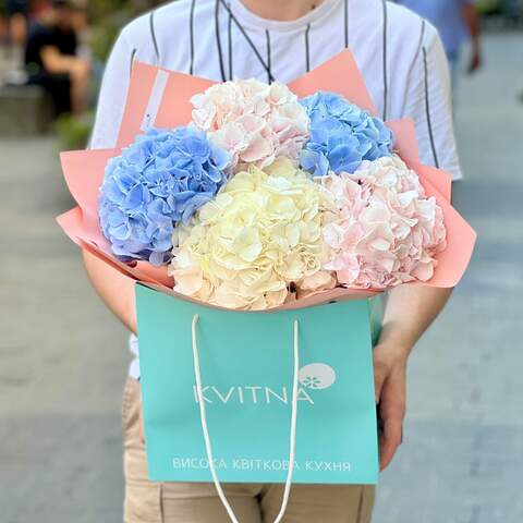 Photo of 5 hydrangeas in a cloud «Watercolor cloud»