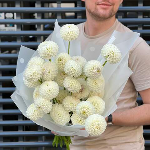 Photo of 33 dahlias in a bouquet «Pearls»