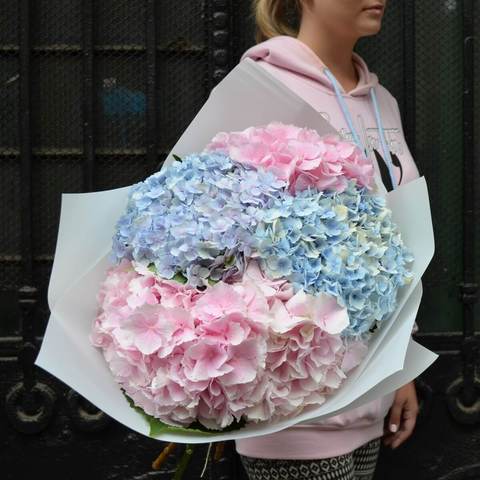 Delicate bouquet of 5 hydrangeas, Airy and sweet, like cotton candy. A great gift for a young girl.