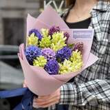 Photo of 17 colored hyacinths in a bouquet «Spring»