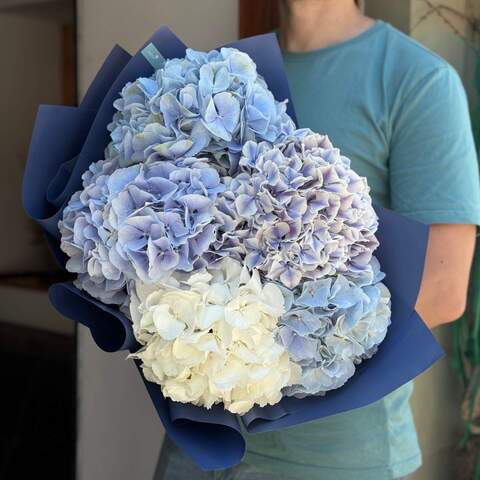 5 incredible hydrangeas in a bouquet «Heavenly Clouds», Flowers: Hydrangea, 5 pcs.