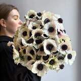 Photo of 45 white anemones in a bouquet «Sophistication»