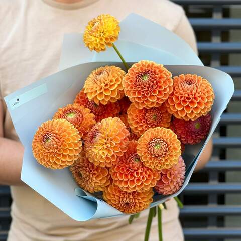 17 dahlias in a bouquet «Orange», Flowers: Dahlia