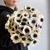 Photo of 45 white anemones in a bouquet «Sophistication»