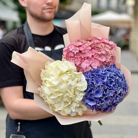 Bouquet of hydrangeas «Colorful Trio», Flowers: Hydrangea, 3 pcs.