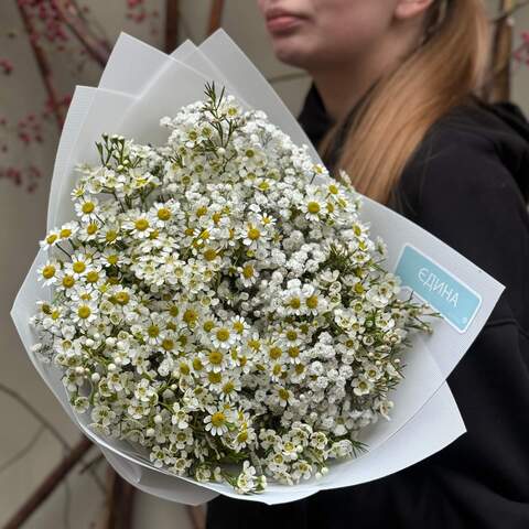 Bright field bouquet «Chamomile Snow», Flowers: Chamelaucium, Gypsophila, Tanacetum