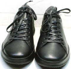 Мужские низкие кеды кроссовки мужские черные осень весна Ikoc 1725-1 Black.