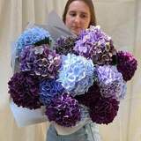 Photo of 15 hydrangeas in a bouquet «Stormy sea»