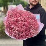 Photo of 19 branches of gypsophila in a bouquet «Pink Snowflakes»