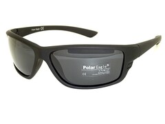 ps 8209 c3