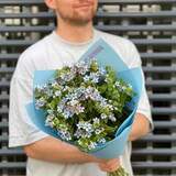 Photo of 31 oxypetalums in a bouquet «Blue Oxypetalum»