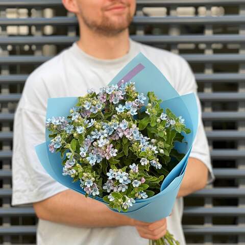 31 ветка оксипеталума в букете «Голубой оксипеталум», Цветы: Оксипеталум