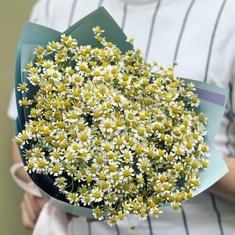 31 chamomiles in a bouquet «Fond memories», Flowers: Tanacetum
