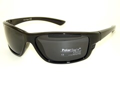 ps 8209 c1
