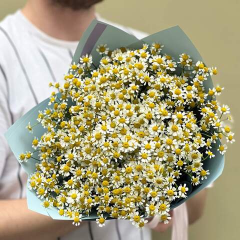 Photo of 31 chamomiles in a bouquet «Fond memories»
