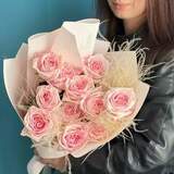 Photo of 11 Pink O'Hara peony roses