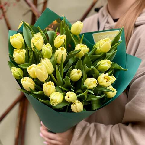 25 peony-shaped tulips in a bouquet «Lime delight»