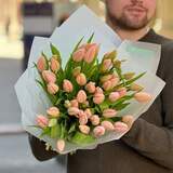 Photo of 49 Thijs Boots premium tulips