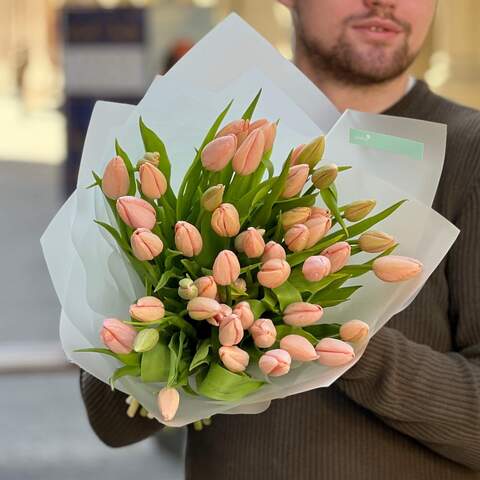 49 преміальних тюльпанів Thijs Boots, Квіти: Тюльпан