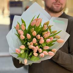 49 преміальних тюльпанів Thijs Boots