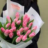 Photo of 25 pink tulips «Sweetness»