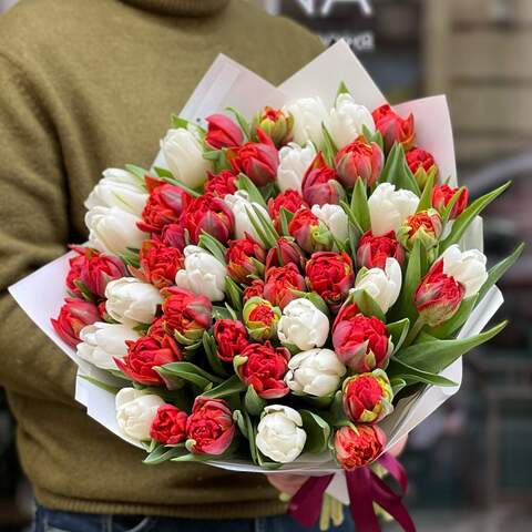 51 червоно-білий тюльпан у букеті «Яскравенький», Квіти: Тюльпан