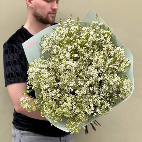 25 веточек белого хамелациума в букете «Арктическая элегантность», Цветы: Хамелациум