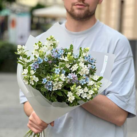 25 oxypetalums in a bouquet «White-blue mix», Flowers: Oxypetalum