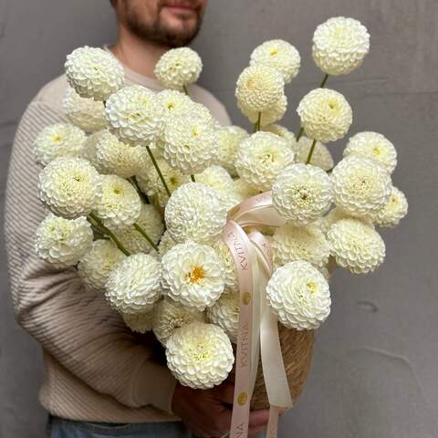 White dahlias in a basket «Fragrant Blizzard», Flowers: Dahlia