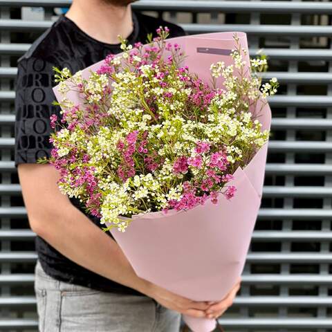15 гілочок хамелаціуму у букеті «Весняний контраст», Квіти: Хамелаціум