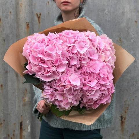 Bouquet of 5 pink hydrangeas