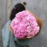 Photo of Bouquet of 5 pink hydrangeas