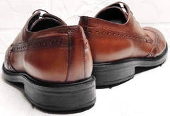 Кожаные туфли мужские осень Luciano Bellini C3801 Brown.