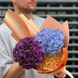 Photo of 3 hydrangeas in a bouquet «Colored hydrangea»