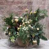 Photo of Christmas composition of pine needles «Golden Hoof»