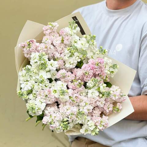 39 Matthiolas in a bouquet «Fragrant Rhapsody», Flowers: Matthiola
