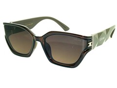 cel 22024 c2