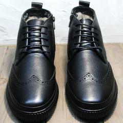 Зимние ботинки мужские Rifellini Rovigo C8208 Black