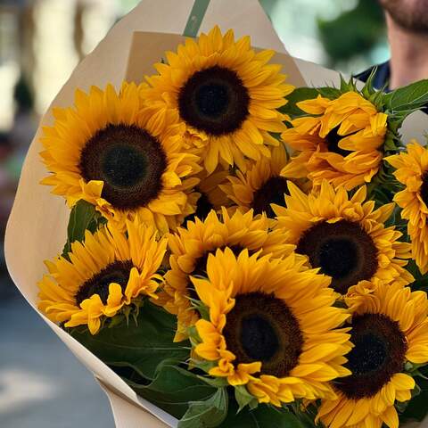 Photo of 11 sunflowers in a bouquet «Sunny petal»