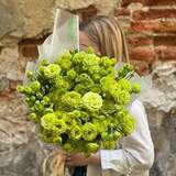 Photo of 17 lime eustomas in a Bouquet «Flamboyance»