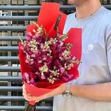 Photo of 25 antirrhinums in a bouquet «Crimson moment»