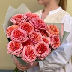 15 троянд Pink Expression у букеті «Стиглі нектаринки»