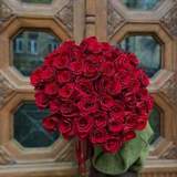 Photo of 51 dark red roses «Explorer»