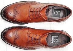 Коричневые кожаные туфли мужские натуральная кожа Luciano Bellini C3801 Brown.