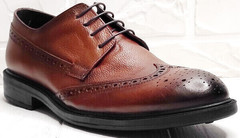Модние туфли дерби мужские Luciano Bellini C3801 Brown.