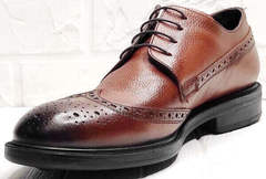 Стильные мужские туфли классика Luciano Bellini C3801 Brown.